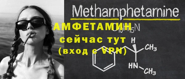 индика Елизово