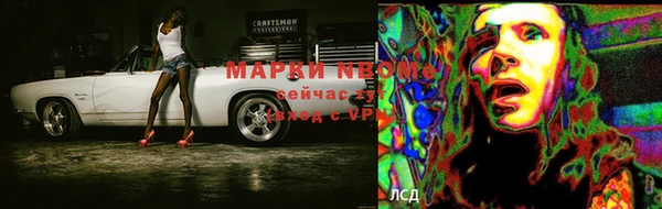 индика Елизово