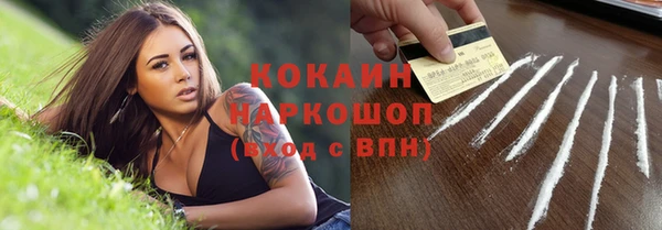 мет Ельня