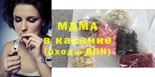индика Елизово