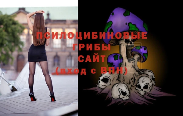 мет Ельня