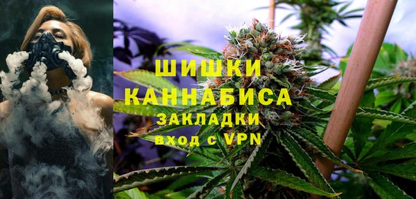 мет Ельня