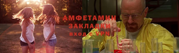 индика Елизово