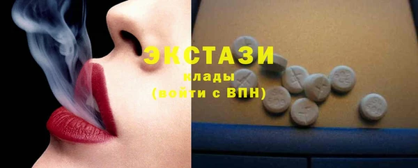 индика Елизово