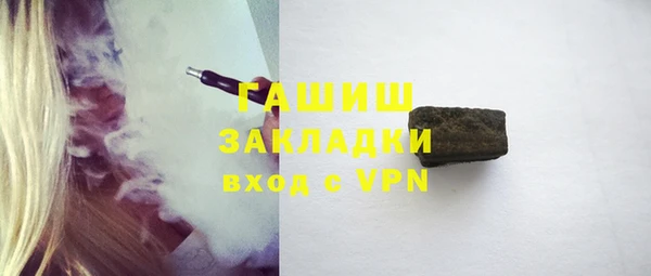 индика Елизово