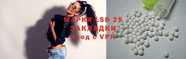 индика Елизово