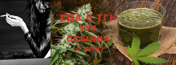 индика Елизово