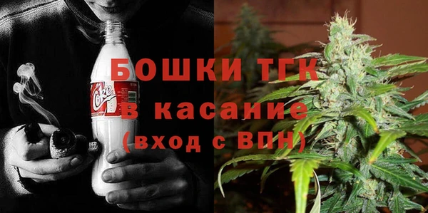 мет Ельня