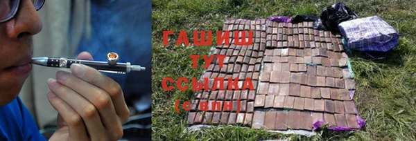индика Елизово