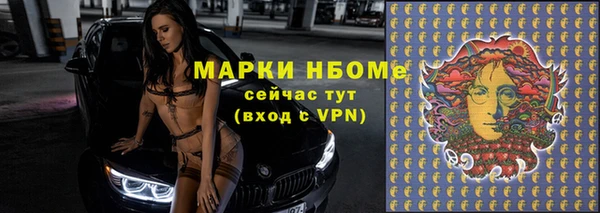 индика Елизово