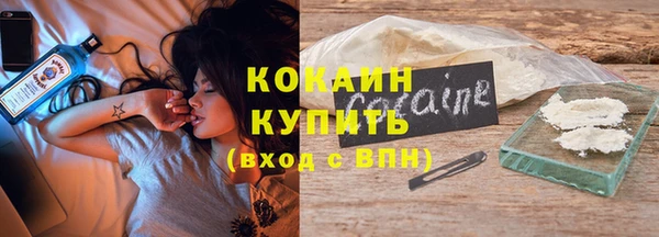 мет Ельня