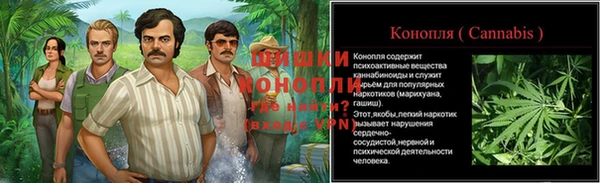 индика Елизово